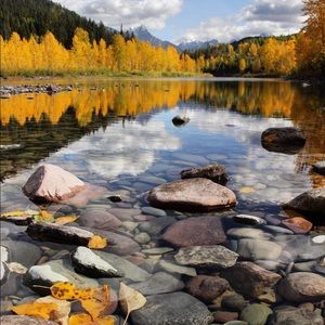 Meet your Posher, Jen